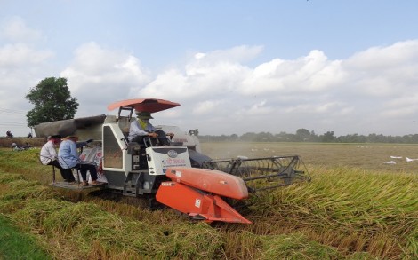 Bài cuối: Cần đánh giá kỹ tác động trước khi triển khai chính sách