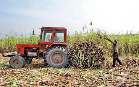 Thông tin kinh tế trong tỉnh