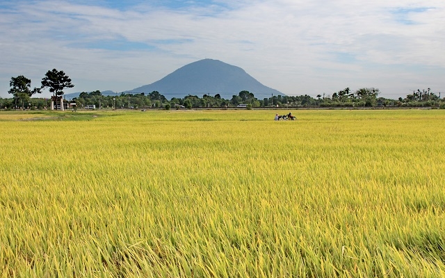 Thông tin kinh tế trong tỉnh