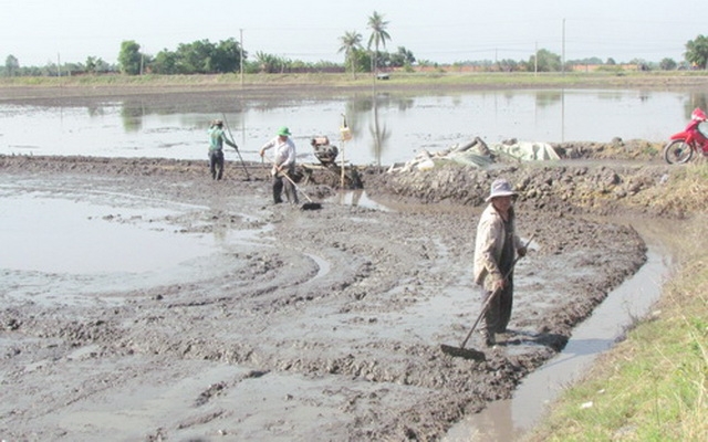 Mực nước lụt xuống nhanh, nông dân tranh thủ sạ lúa sớm