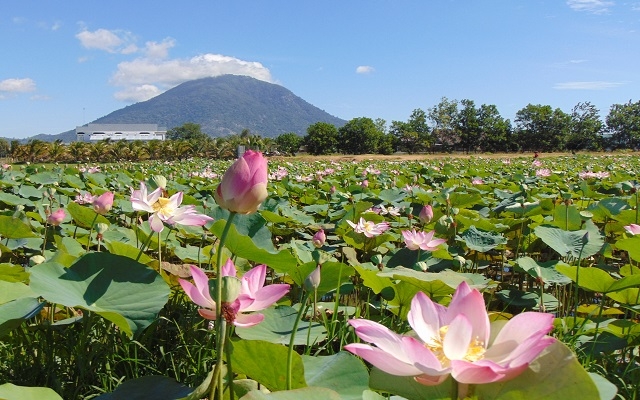 Muôn mặt núi Bà Đen