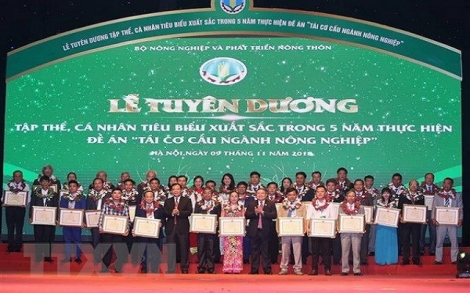 Tuyên dương 138 cá nhân, đơn vị xuất sắc trong tái cơ cấu nông nghiệp