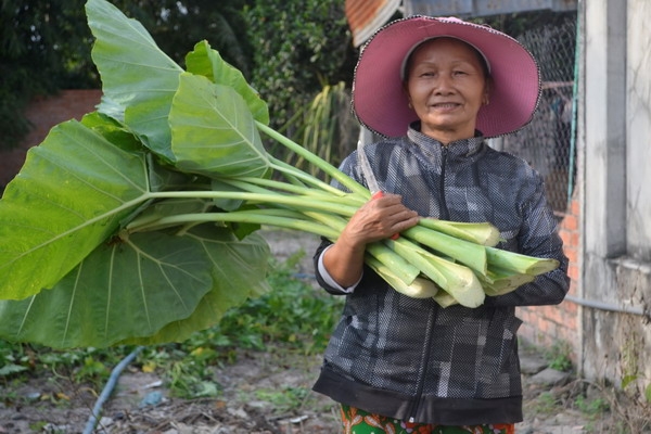 Vườn rau sạch vì nữ sinh nghèo