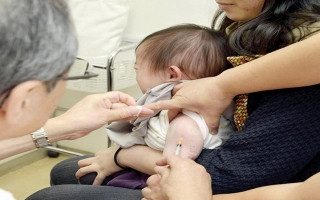 Bùng phát rubella tại Nhật Bản