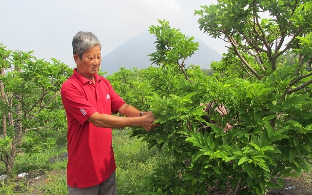 Người trưởng khu phố cần cù lao động