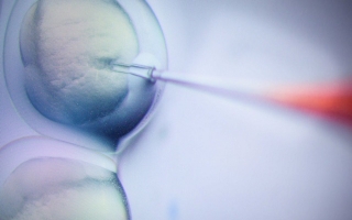 Đón hai bé sinh đôi được chỉnh sửa gen đầu tiên trên thế giới