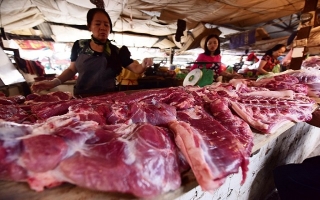 Việt Nam thiệt hại 700 triệu USD mỗi năm do mất an toàn thực phẩm