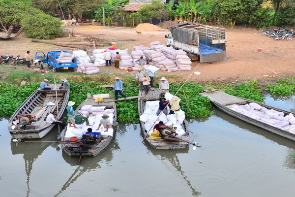 Rất cần sự chặt chẽ, rõ ràng