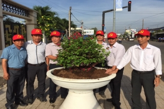 Hòa Thành: Lắp đặt 30 chậu hoa giấy trên đường Nguyễn Văn Linh