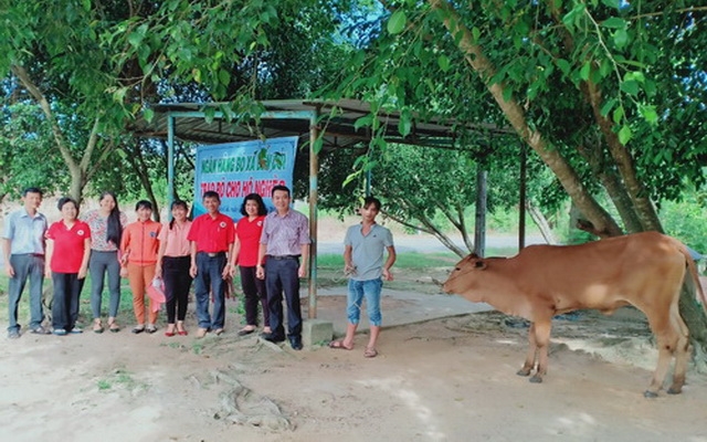 Hỗ trợ vốn cho gia đình hội viên Chữ thập đỏ