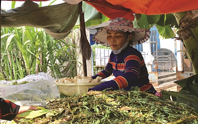 Học Bác ở sự sẻ chia, giúp đỡ người nghèo