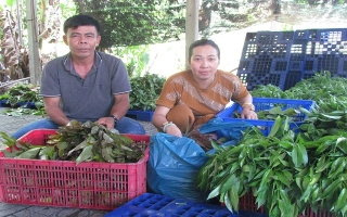 Kinh doanh rau rừng, bánh tráng phơi sương: Góp phần giải quyết việc làm cho lao động nông thôn