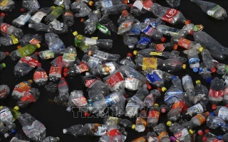 EU nhất trí cấm hầu hết sản phẩm nhựa dùng một lần