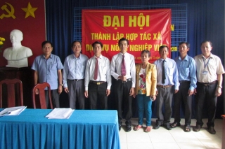 Thành lập HTX Dịch vụ nông nghiệp Việt