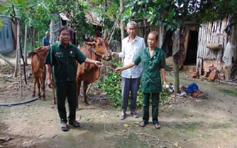 Dẫn đầu phong trào thi đua “Cựu chiến binh gương mẫu”