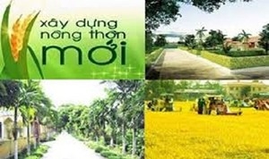 Một năm thành công trong xây dựng nông thôn mới