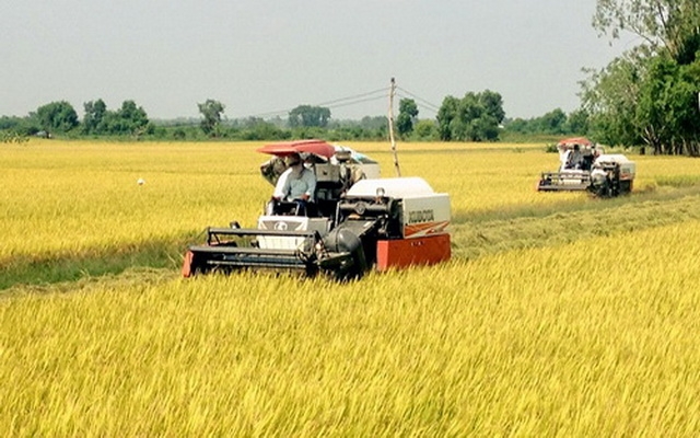 Thông tin kinh tế trong tỉnh