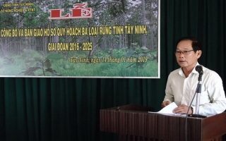 Công bố Quyết định phê duyệt kết quả rà soát, điều chỉnh quy hoạch 3 loại rừng