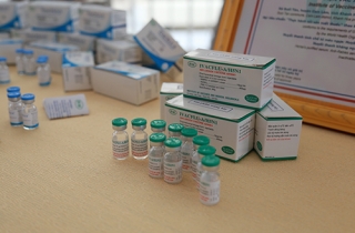 Bắt đầu lưu hành vắcxin cúm mùa do Việt Nam bào chế