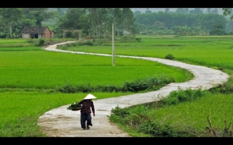 Ghi chép tản mạn: Về quê