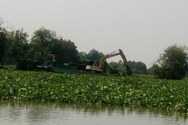 Tây Ninh: Tiếp tục trục vớt lục bình trên Sông Vàm Cỏ Đông