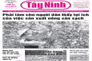 Điểm báo in Tây Ninh ngày 13.02.2019