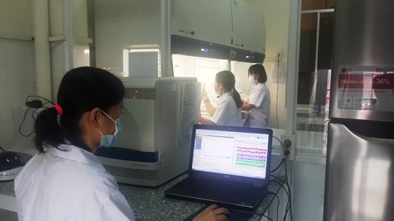 8 phòng thí nghiệm khẩn cấp “truy tìm” virus dịch tả heo châu Phi