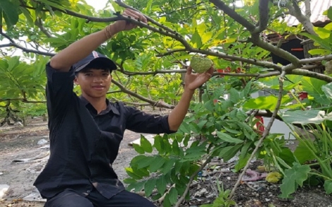 Nông dân phát hiện giống mãng cầu “quý hiếm”