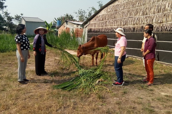 CLB Nữ từ thiện tỉnh Tây Ninh: Trao bò sinh sản cho phụ nữ nghèo xã Phan