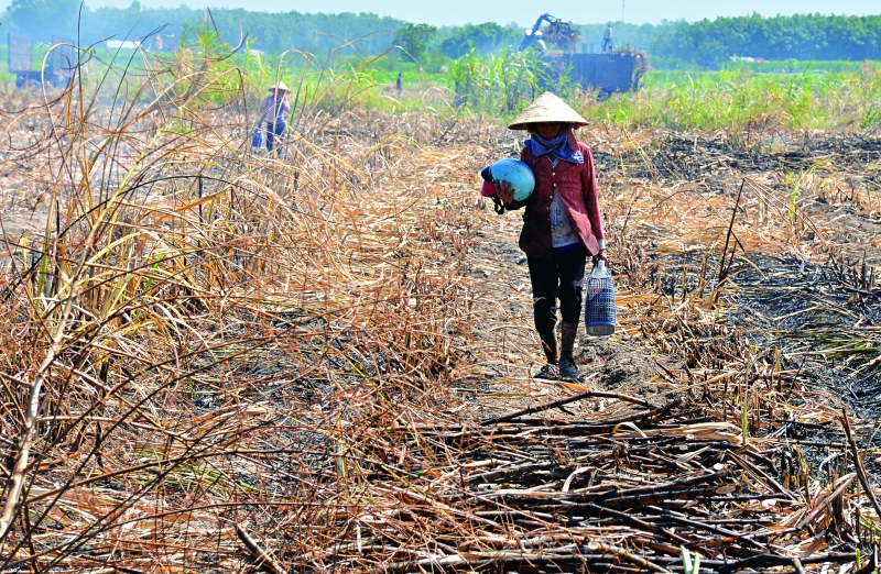 Liêu xiêu dáng mẹ