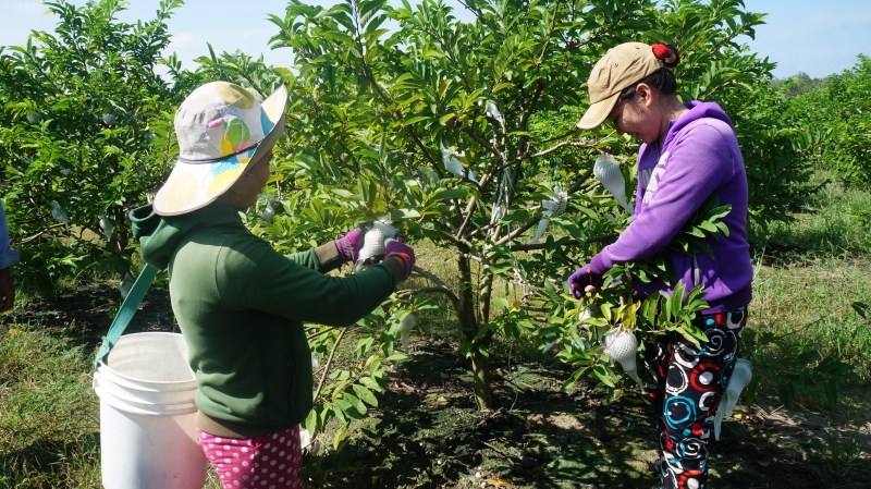 “Tiếp sức” cho nông dân