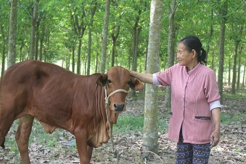 Cơ hội cho người nghèo vươn lên