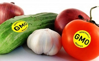Nhật Bản cho phép bán thực phẩm biến đổi gene