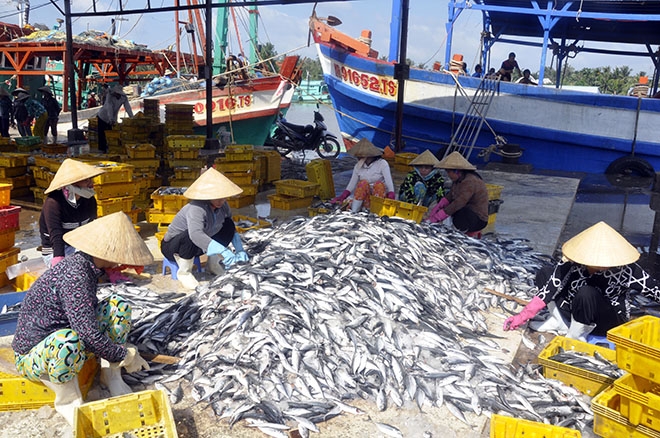 Chất lượng văn bản và yêu cầu ‘số một’ của Thủ tướng