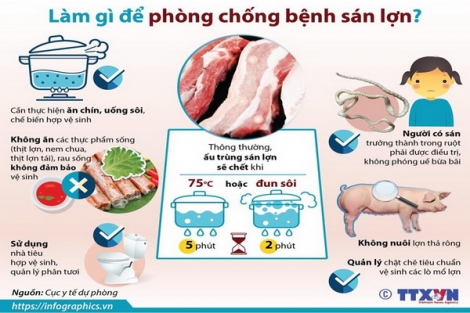 Cần làm gì để phòng chống bệnh sán lợn?