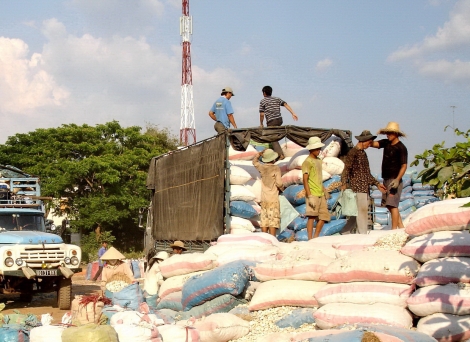 Thông tin kinh tế trong tỉnh