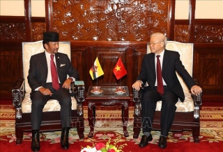Tổng Bí thư, Chủ tịch nước Nguyễn Phú Trọng chủ trì Lễ đón Quốc vương Brunei Darussalam