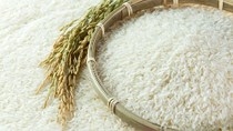 Giá gạo xuất khẩu Việt Nam thấp hơn Thái Lan 35 - 45 USD/tấn
