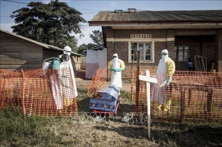 Congo: Dịch Ebola bùng phát, 803 người chết