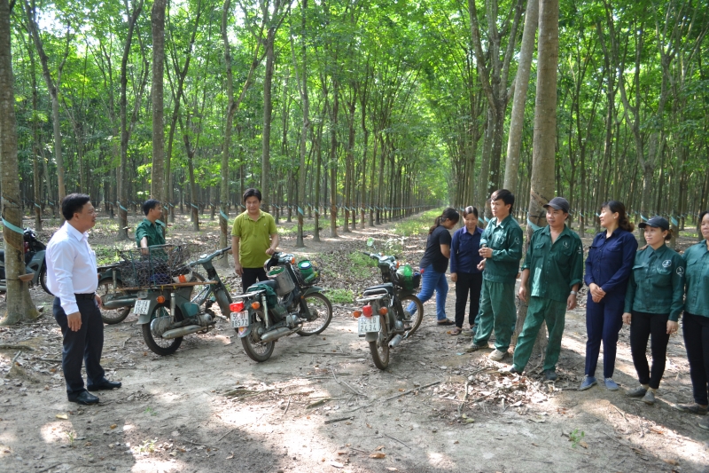 Một Bí thư, Giám đốc nông trường năng động