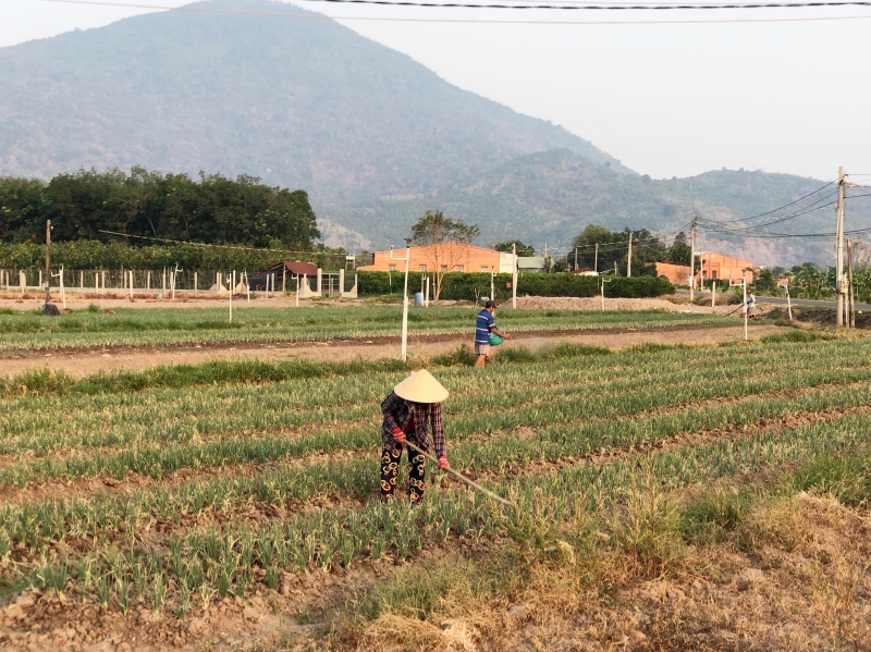 Thạnh Tân: Phấn đấu đạt chuẩn nông thôn mới trong năm 2019