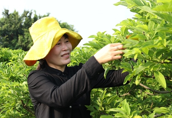 Việc thiện- dù nhỏ vẫn làm