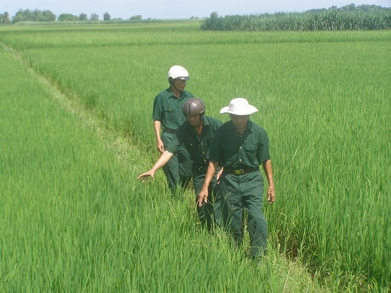 Những “người lính Cụ Hồ” làm kinh tế giỏi