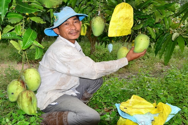 Đổi mới là “sống còn”