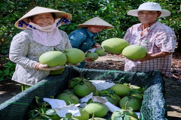 Hướng đi nâng tầm nông nghiệp