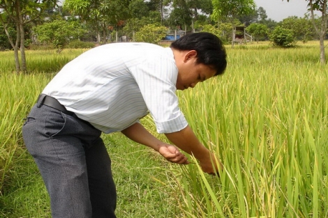 Thông tin kinh tế trong tỉnh