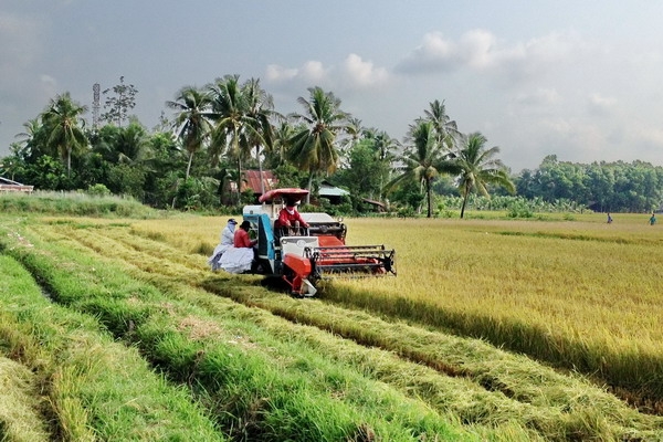 Thông tin kinh tế trong tỉnh