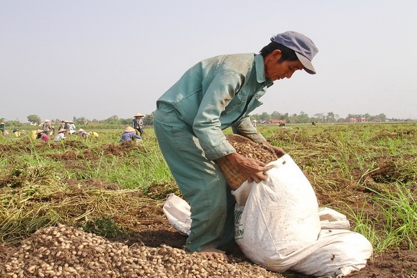 Thông tin kinh tế trong tỉnh