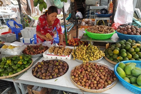 Tết Đoan Ngọ: Giá trái cây tăng mạnh