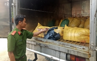 TP.Tây Ninh: Phát hiện một cơ sở kinh doanh da trâu, bò không đảm bảo vệ sinh